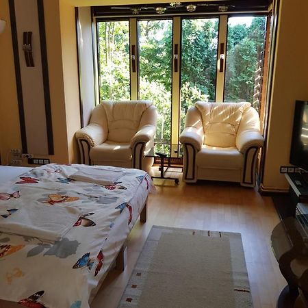 Casa Negoiu Lejlighed Târgu-Mureş Eksteriør billede